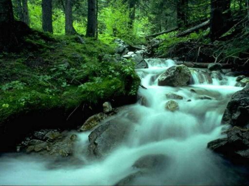 cascade_011_512.jpg